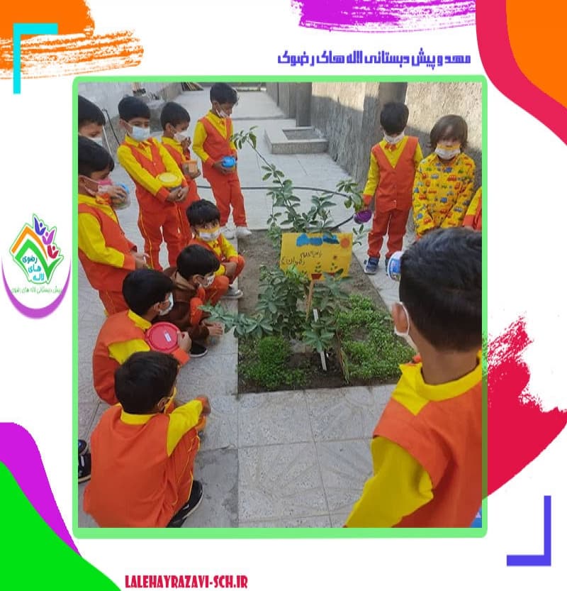 مهد و پیش دبستانی لاله های رضوی